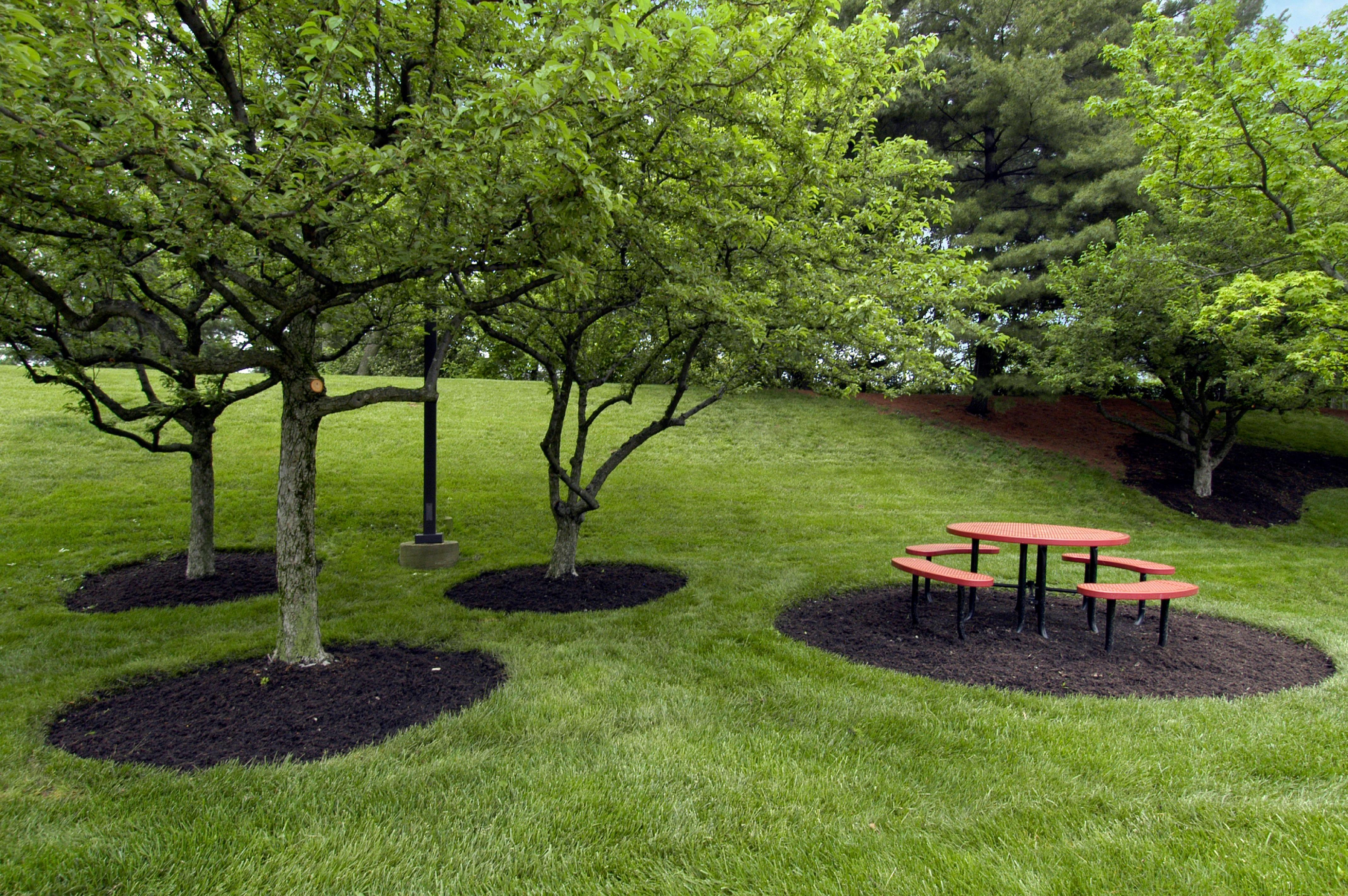 Red Roof Inn Cincinnati Northeast - Blue Ash Εξωτερικό φωτογραφία