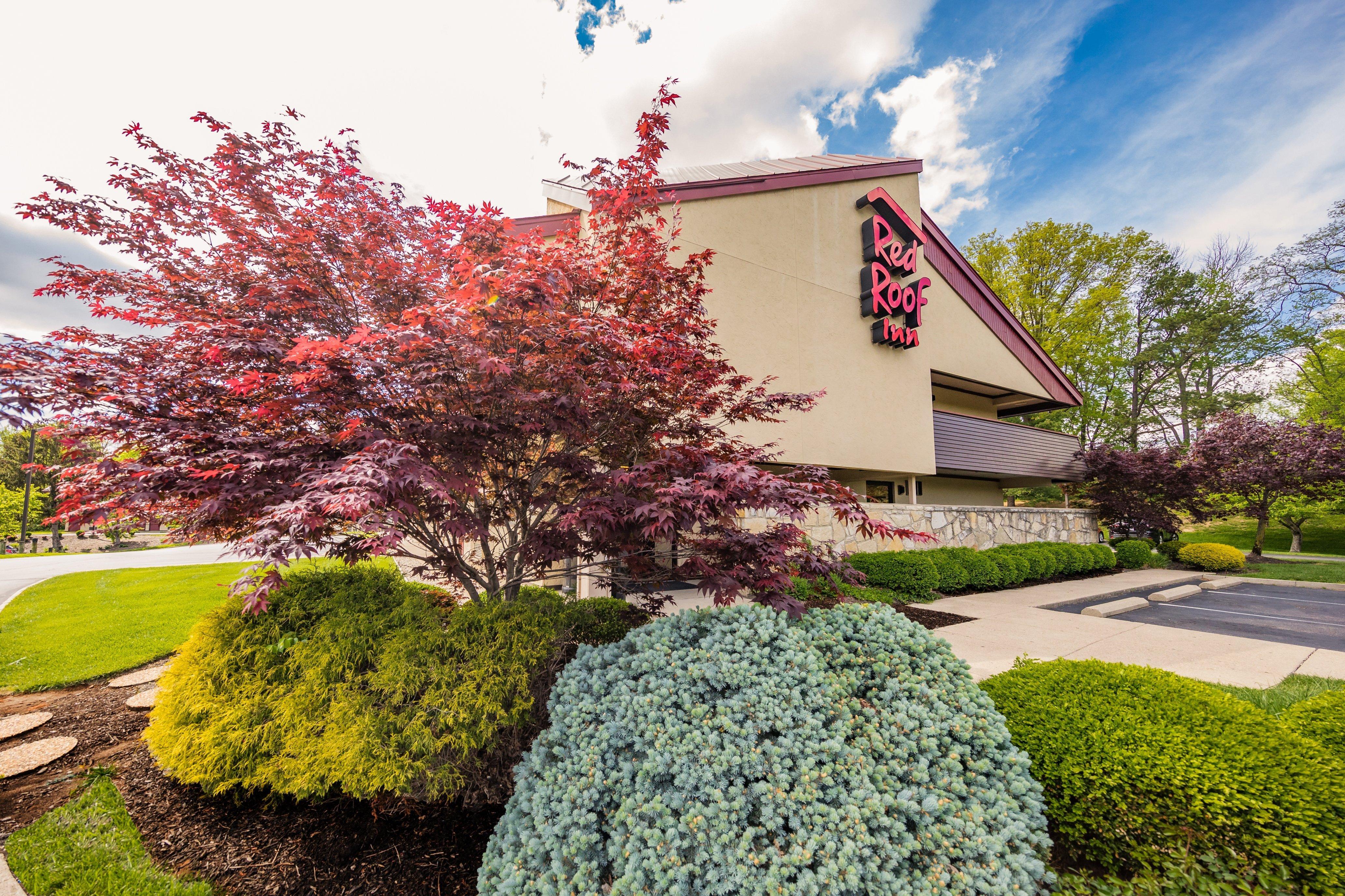 Red Roof Inn Cincinnati Northeast - Blue Ash Εξωτερικό φωτογραφία
