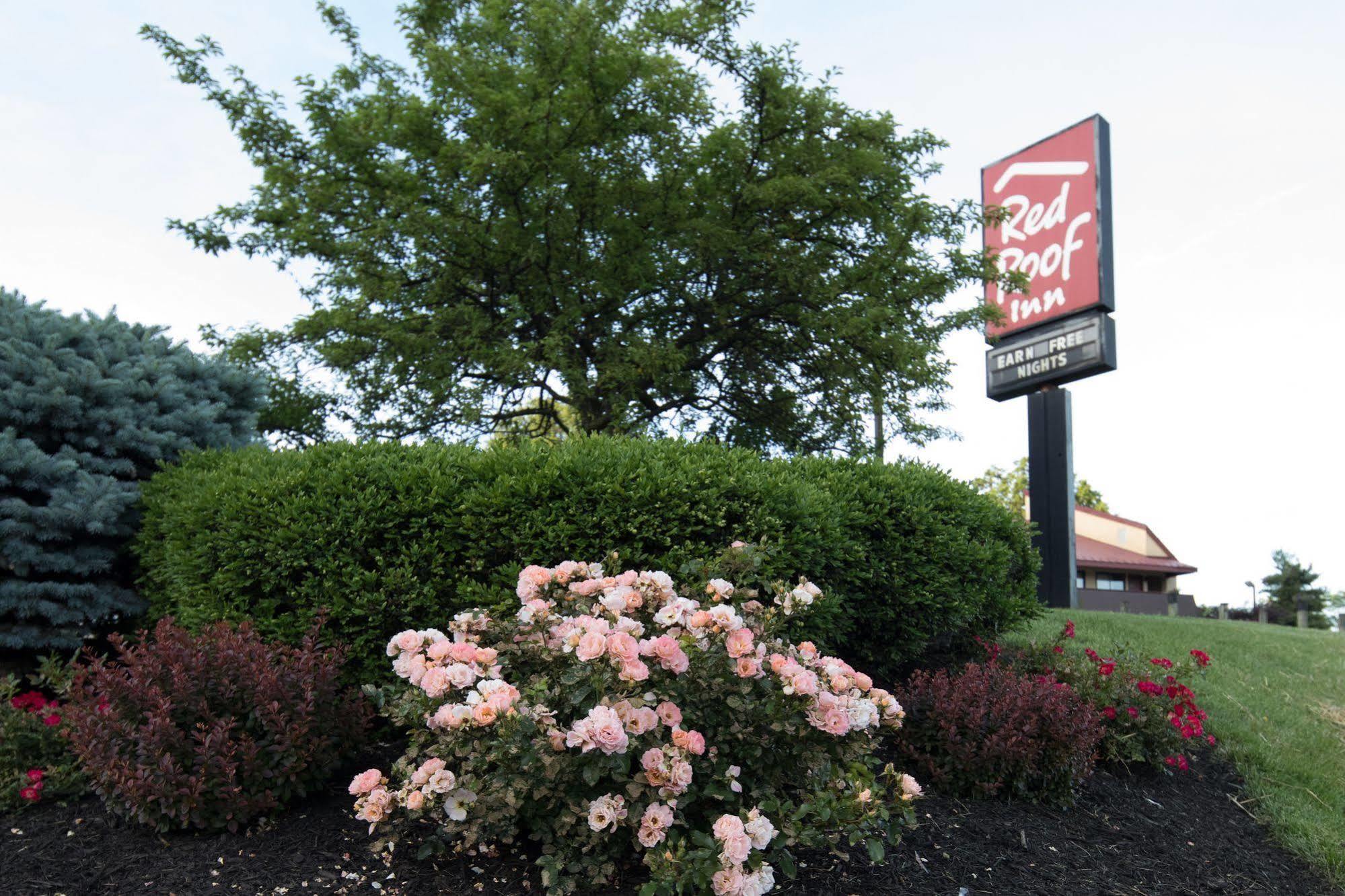 Red Roof Inn Cincinnati Northeast - Blue Ash Εξωτερικό φωτογραφία